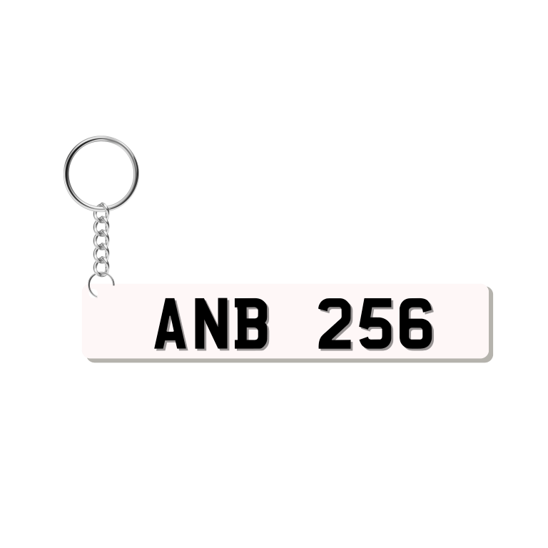 ANB256 Keychain