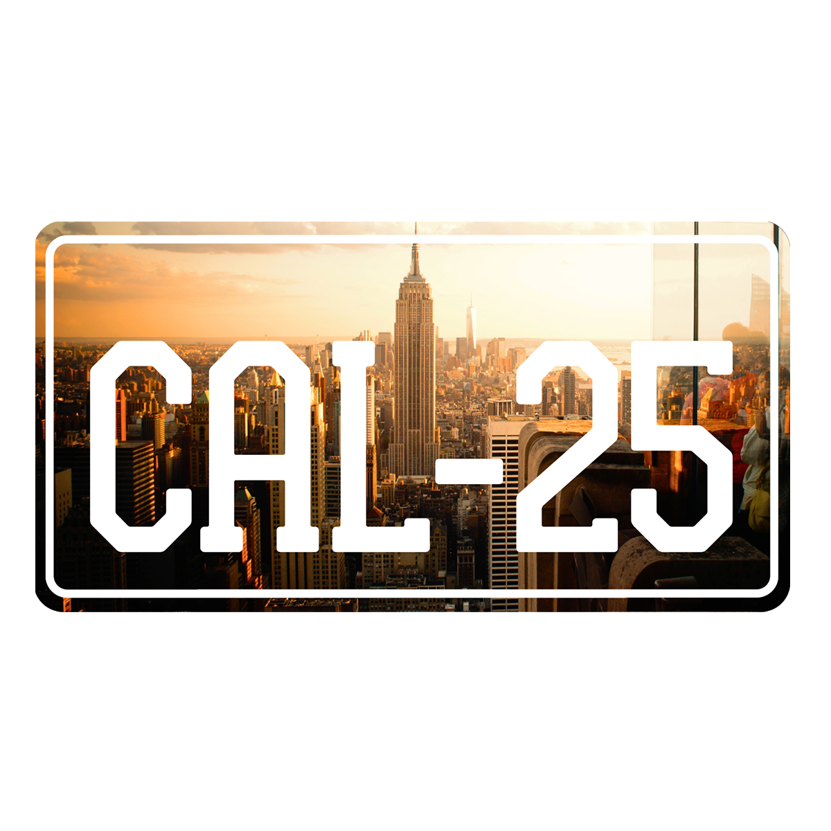 CAL-25 Custom Number Plate