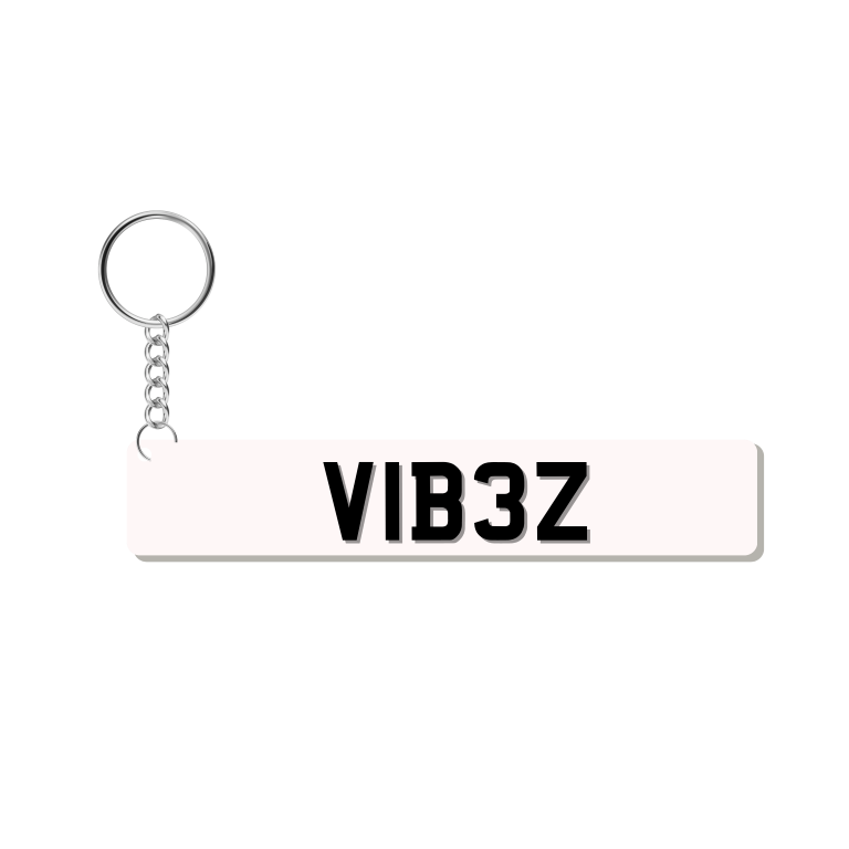 VIB3Z Keychain