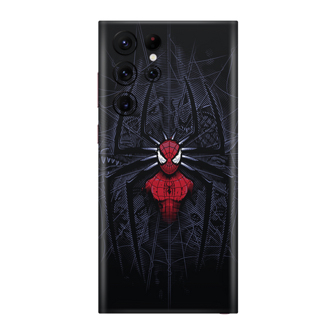 Spidey Skin