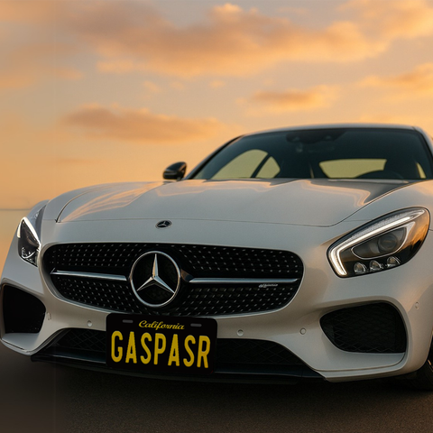 GASPASR  Custom Number Plate