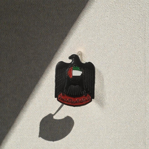 Metal Enamel Brooches 3m Sticker Fashion Jewelry Design Black eagle UAE flag